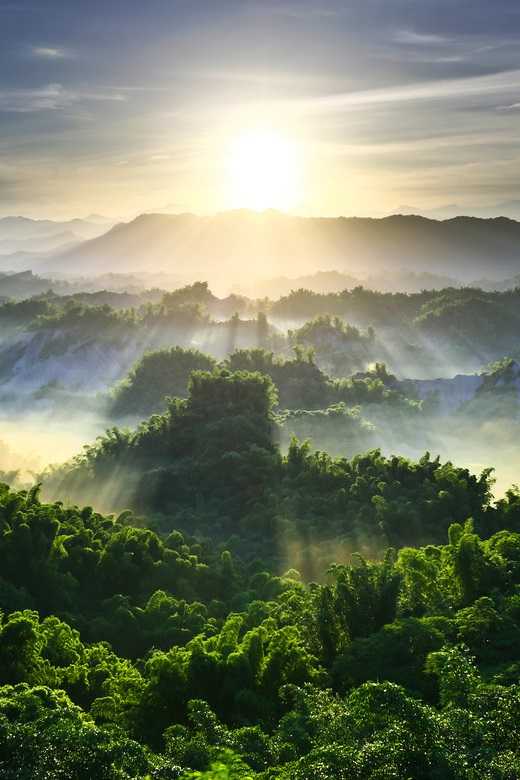 有哪些适合做微信头像的风景或静物图片?