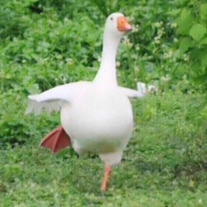 有没有什么很有格调的沙雕头像?