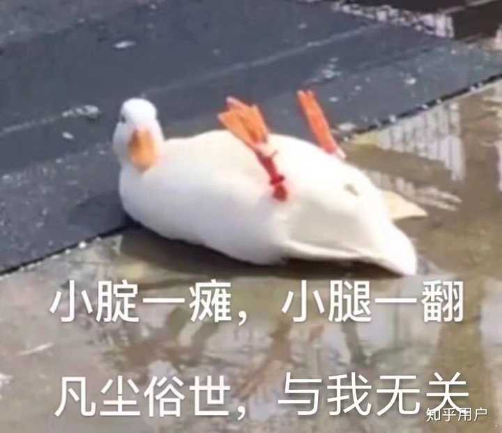 你们做过特别沙雕的事情吗?