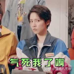 大佬们有没有诸葛大力的表情包啊!