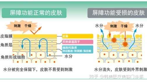 已受损的皮肤屏障,该如何修复呢?