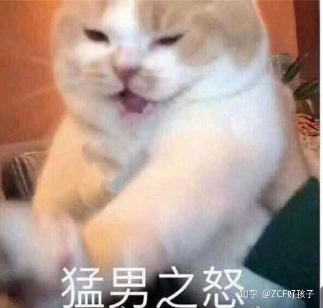 有没有什么可爱的表情包让人一看就想回你的讯息的?