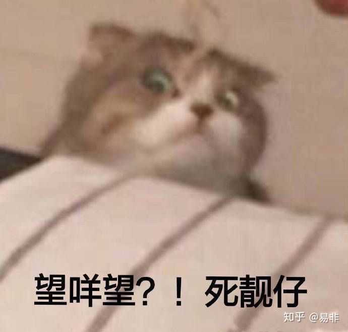 被迫营业的表情包
