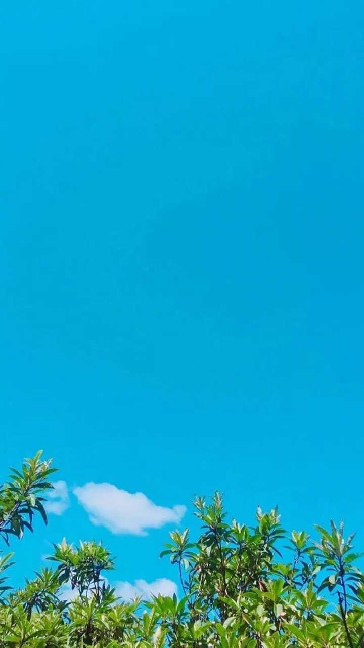 有什么干净清爽的壁纸?