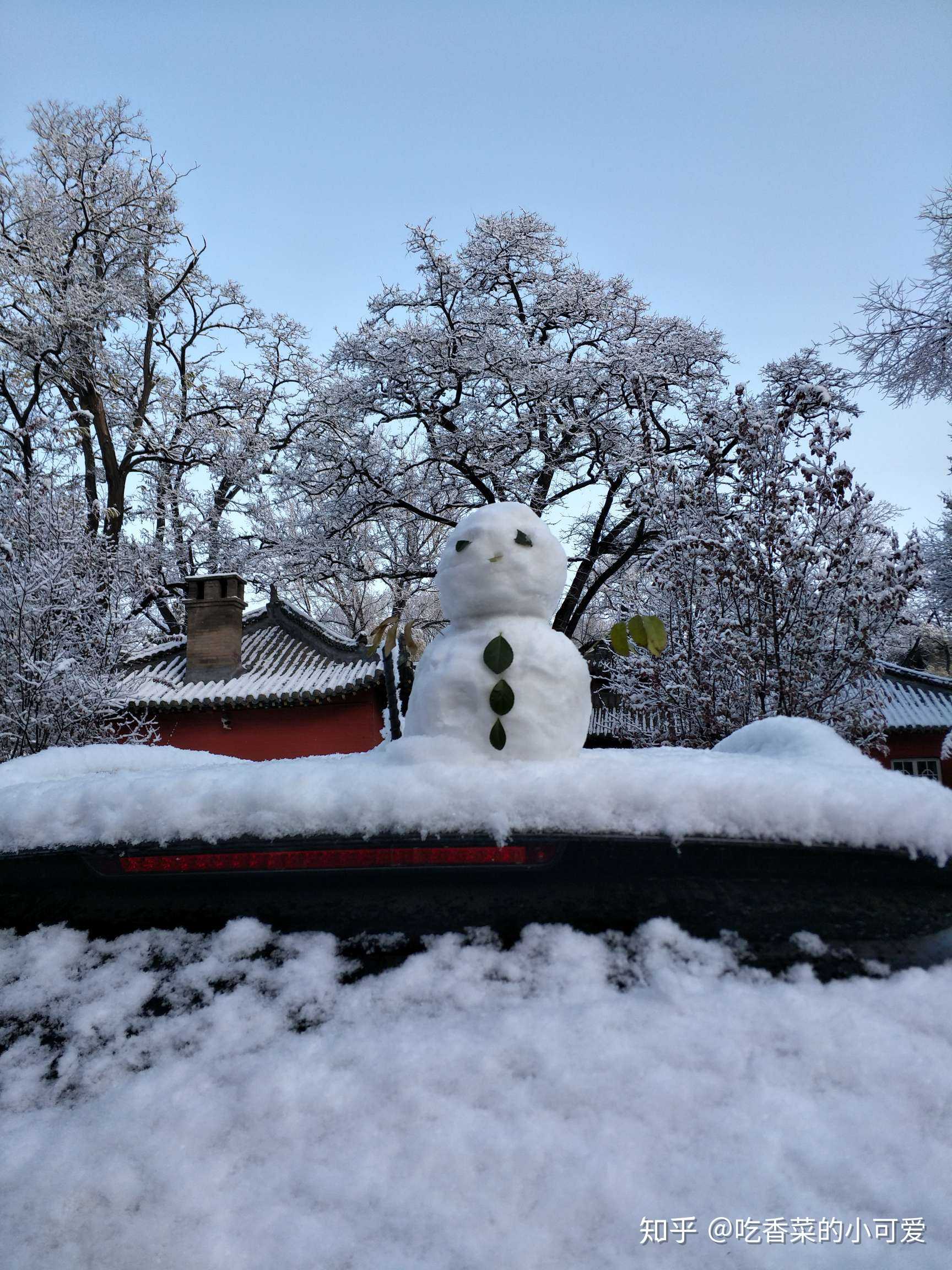 北方的冬天……下雪了,虽然很冷 但是也太好看了叭