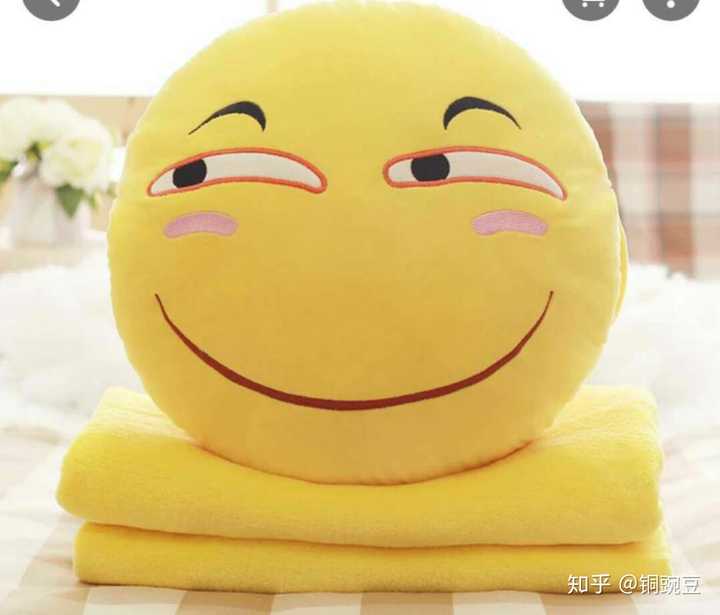 奇特的商品,表情包抱枕算不算? 它的样子长这样
