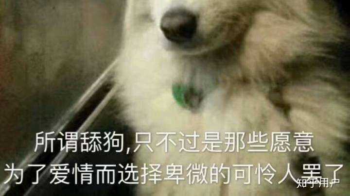 为什么会有人去做舔狗呢?