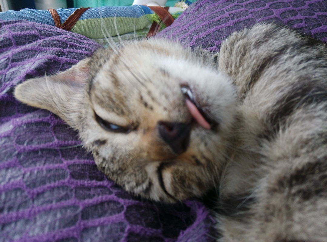 面对财富,知识,外貌,阅历,能力比你优秀的人,如