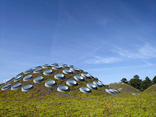 设计一座博物馆建筑时，室内的光线设计需要考量哪些因素进而来达到参观的最佳效果？插图10