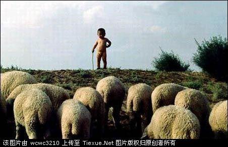 看19楼的标题经常感觉题不对文,请问这是失误