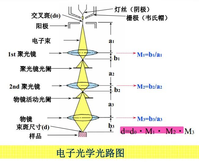 光学显微镜,透射电镜和扫描电镜的区别(1)