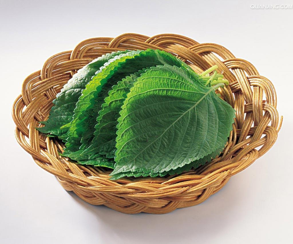 <em>古人</em>是<em>怎么洗头发</em>的,有类似现在洗发水的东西