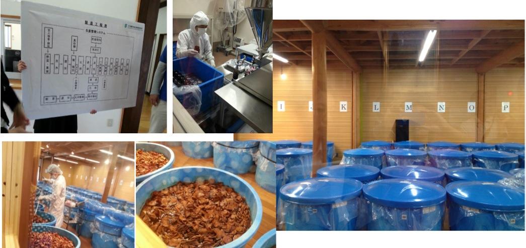 真正的日本保健品品牌有哪些? - 知乎