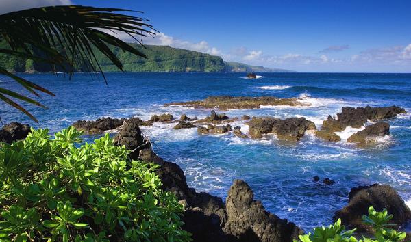 微观经济学导论:概念与结构(3) - 微观经济学讲