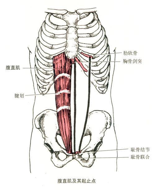 如何确定自己是不是腹部发力带动大腿走路?