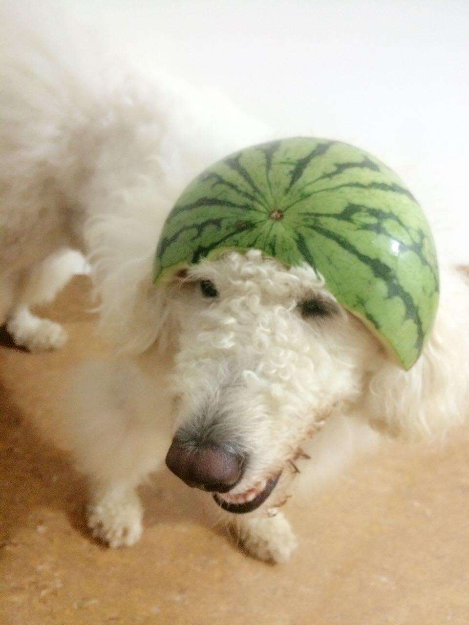 如何看待微博用户「<em>回忆专用小马甲</em>」用绳子绑