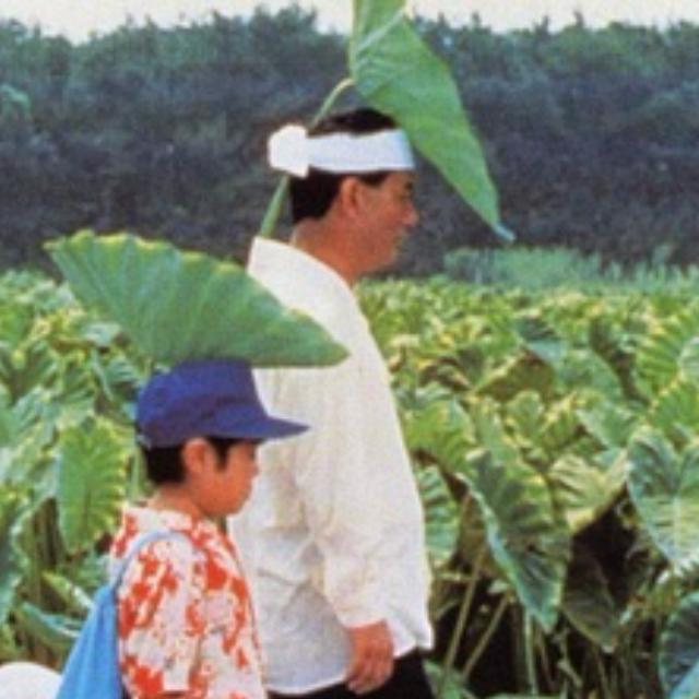 《菊次郎的夏天》