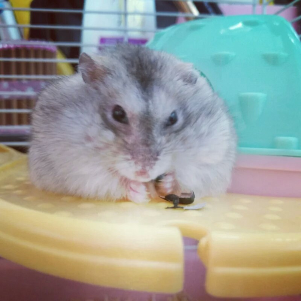 嗑瓜子嗑的挺溜啊