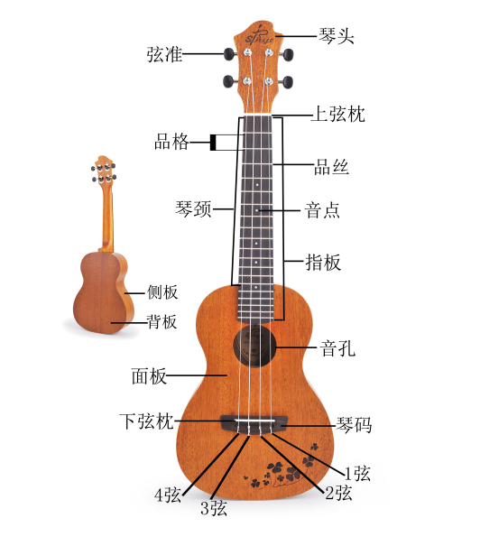 美拍 上面有调音的步骤 很详细  4:学会左右手指法 尤克里里如何 按弦