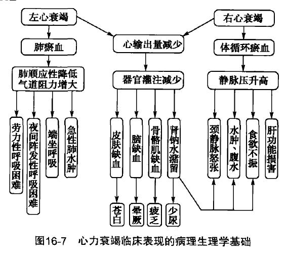 肺淤血和左心衰两者联系?