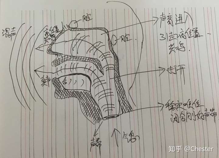 歌唱发声的原理是什么?