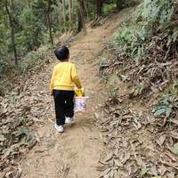 又寸又木又说 的想法 爬山遇到两条路小孩确实喜欢走野路 知乎