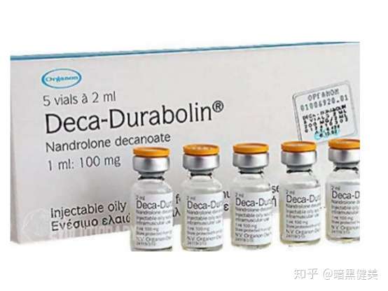 速效增肌利器-durabolin-npp苯丙酸诺龙 知乎