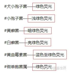 大家明白了吗,在伍德氏灯(紫外线)的照射下,猫藓一定有绿色荧光,但有