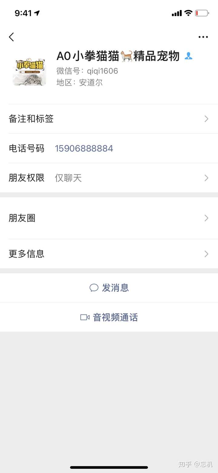 微信买猫成功案例