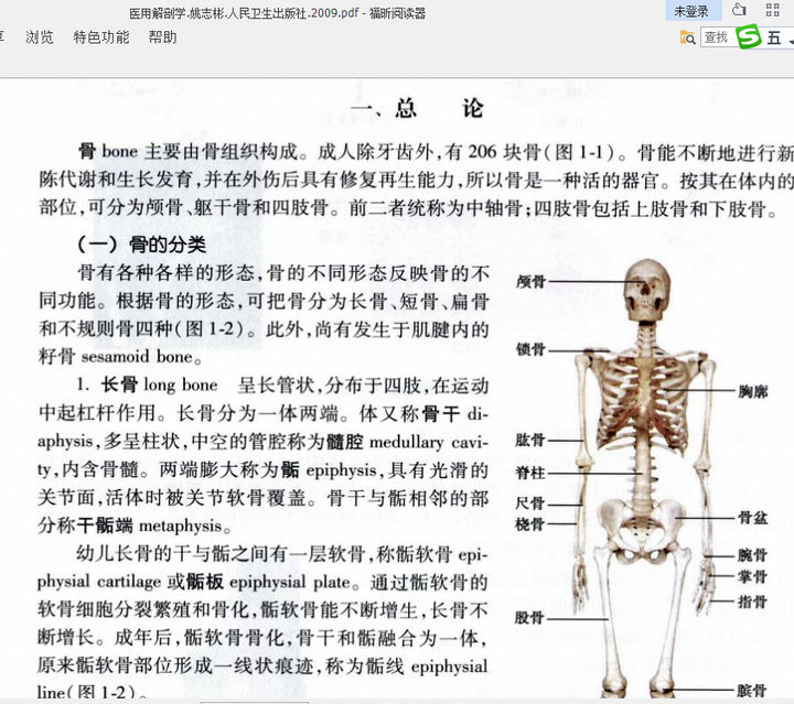 人有几块骨头?