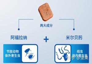 狗狗驱虫药推荐内外同驱超可信