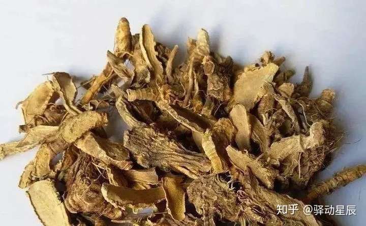 认识中草药——鸢尾