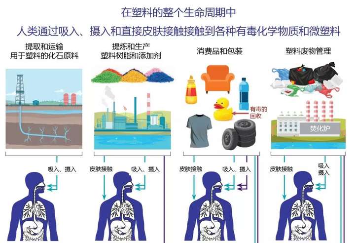 人类通过吸入,摄入和直接皮肤接触接触到各种有毒化学物质和微塑料