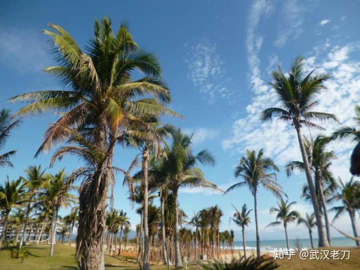 老刀：我国有哪些美丽、安全、无海腥味的海滩？