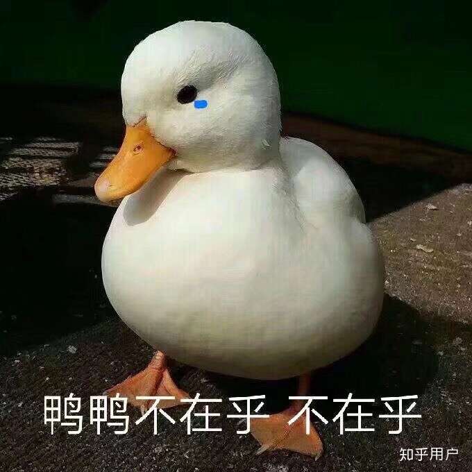 太傻太天真,不是苹果不要乱下软件