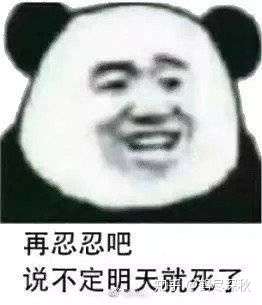 肥胖的狗脸没有表现出到底是真情实感还是虚情假意