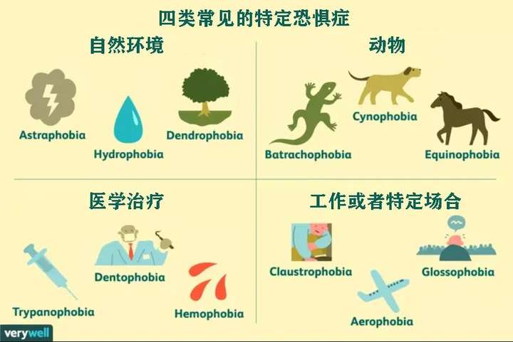 一些常见的特定恐惧症(图源:verywell)