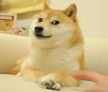 在这个动画中,狗被称为"doge",从此doge成了新一代的流行词与表情包