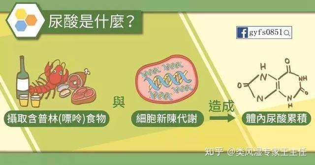 排尿酸 zhuanlan.zhihu.com