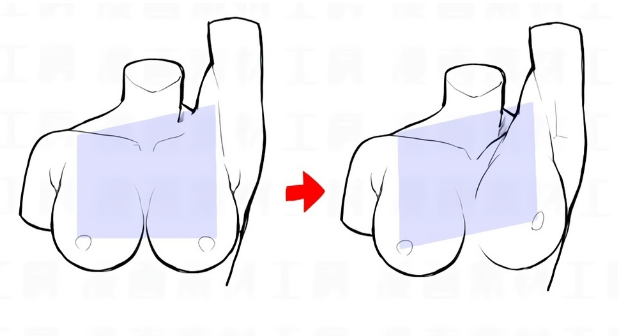 怎么各角度画好一个女生的胸部