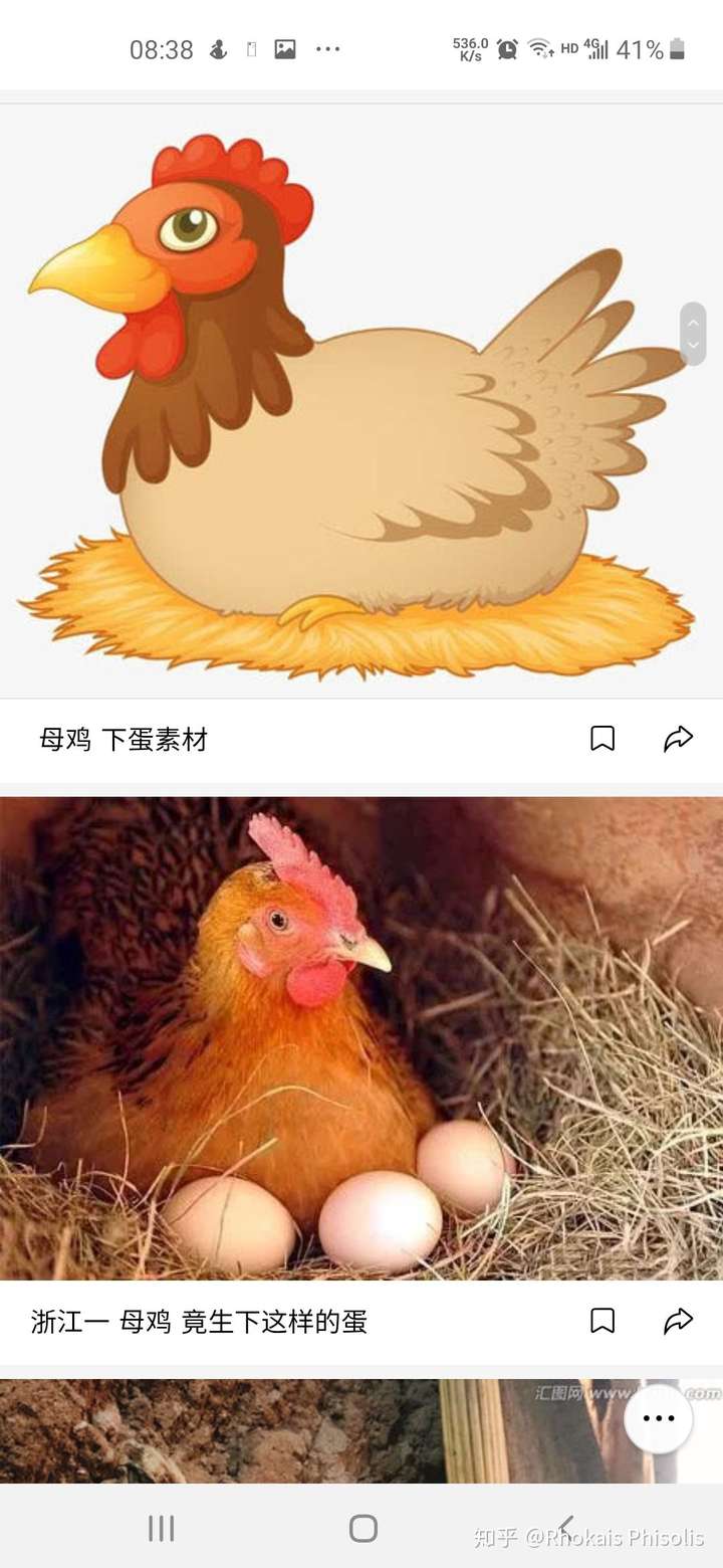 母鸡有鸡冠