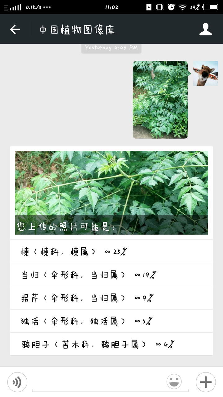 有什么好的看图识别植物的软件或者网站,求推荐.园林职业病.