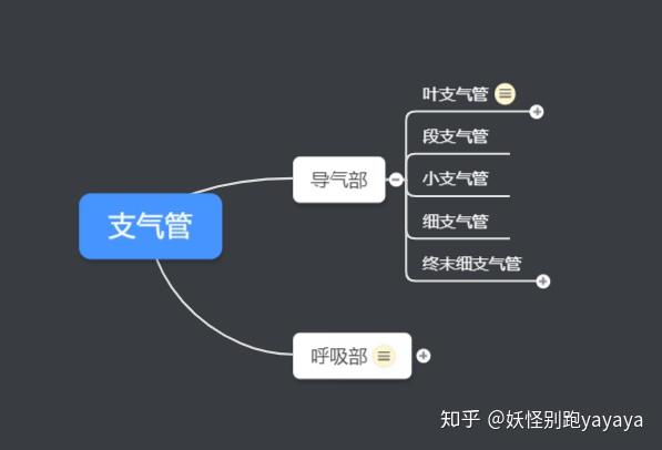 呼吸系统知识点思维导图