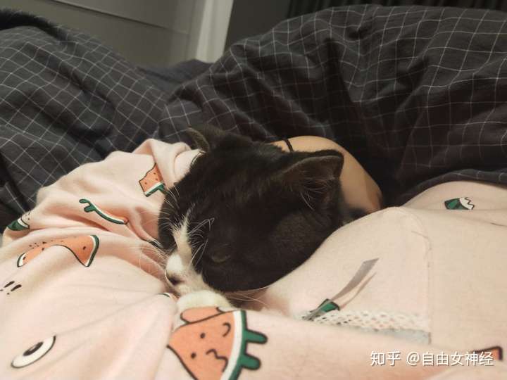 情侣睡觉都抱着睡吗?