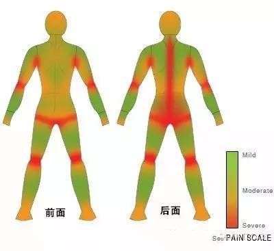 不知道题主有没有看过纹身疼痛分布图 网上有很多版本 随便贴两个