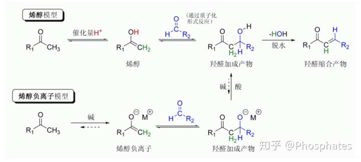 羟醛缩合的反应机理.来源:维基百科