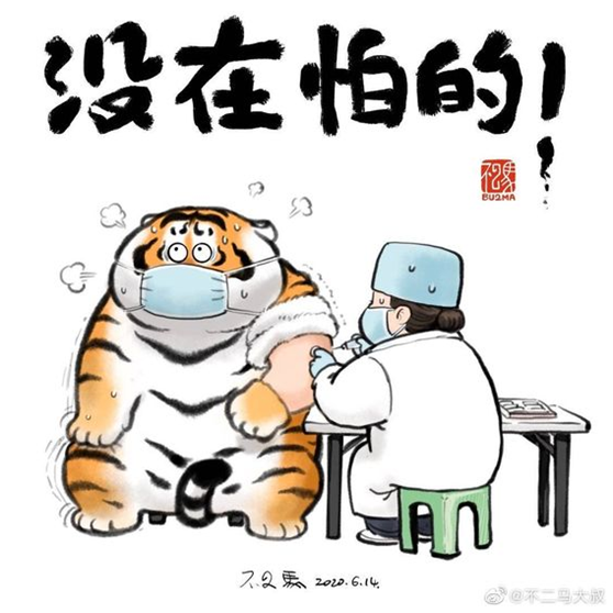 威猛老虎变身可爱憨厚的胖虎2022年最可爱的老虎出现啦