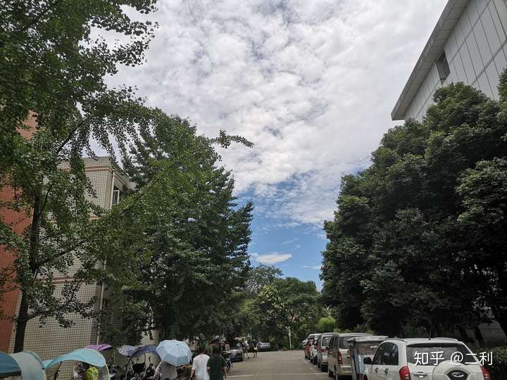 四川农业大学的宿舍条件如何?校区内有哪些生活设施?