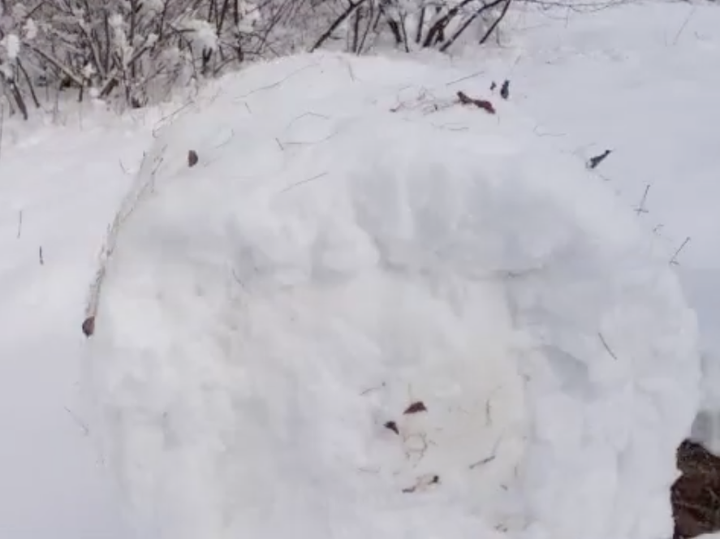 为什么雪球越滚越大