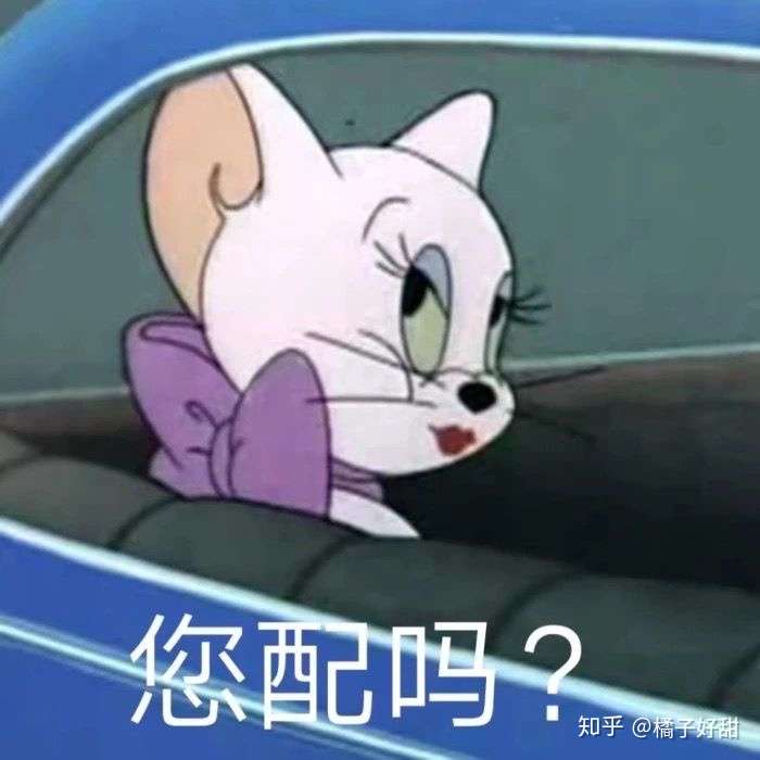 怎样回女生我很高贵男人没有机会的表情包